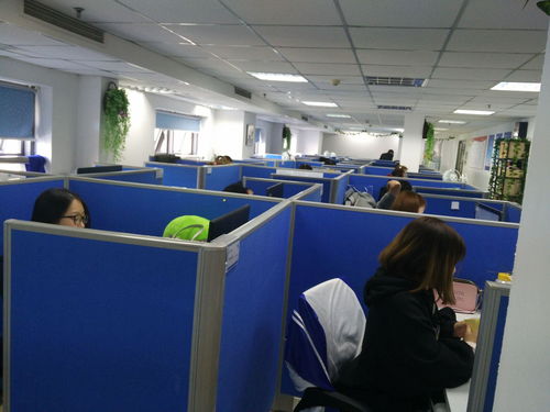 上?；芈暰W絡科技 專業網絡技術服務領航者